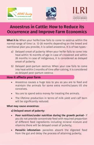 Anoestrus in cattle: How to reduce its occurrence and improve farm economics