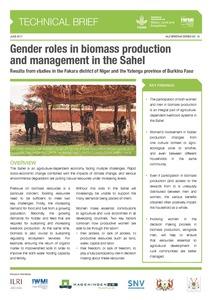 Gender roles in biomass production and management in the Sahel