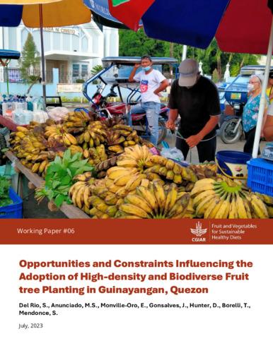 Opportunities and constraints influencing the adoption of high-density and biodiverse fruit tree planting in Guinayangan, Quezon