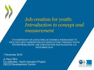 Job creation for youth: Introduction to concept and measurement