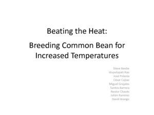 Beating the heat: breeding common bean for increased temperatures