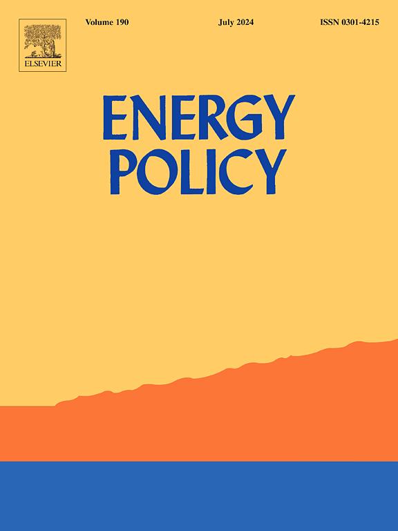 Exploring policy coherence to understand limited progress of gender and social inclusion in the energy sector: the case of Nepal