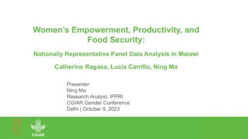 Women’s empowerment, productivity, and food security: Nationally representative panel data analysis in Malawi