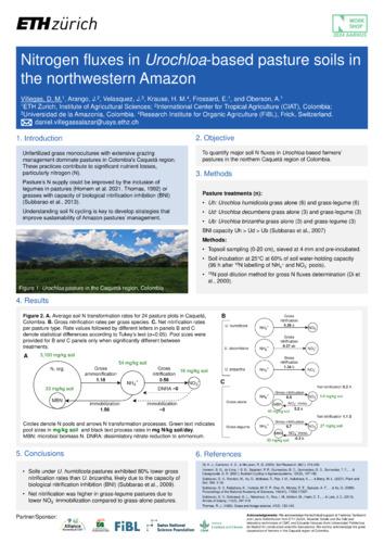 Nitrogen fluxes in Urochloa-based pasture soils in the Northwestern Amazon