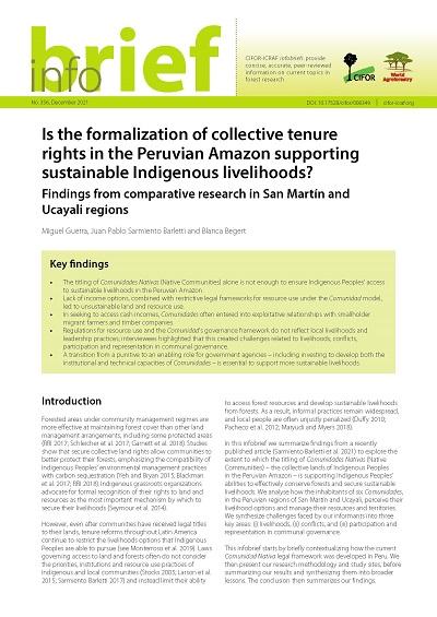 Is the formalization of collective tenure rights in the Peruvian Amazon supporting sustainable Indigenous livelihoods? Findings from comparative research in San Martín and Ucayali regions