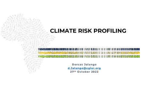 Climate risk profiling