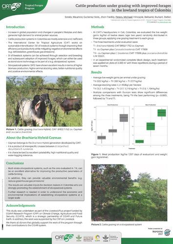 Cattle Production under Grazing with Improved Forages in the Lowland Tropics of Colombia