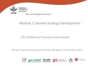 Gender Capacity Development Training Module 2: Gender Strategy Development