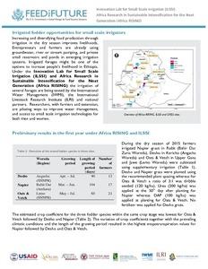 Irrigated fodder opportunities for small scale irrigators