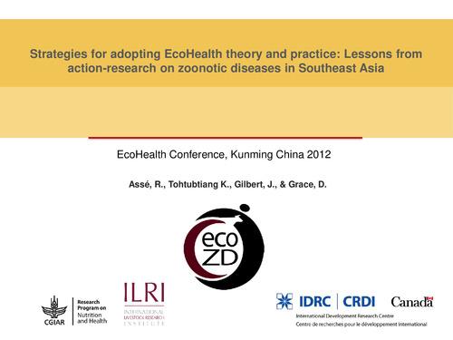 Strategies for adopting ecohealth theory and practice: Lessons from action‐research on zoonotic diseases in Southeast Asia
