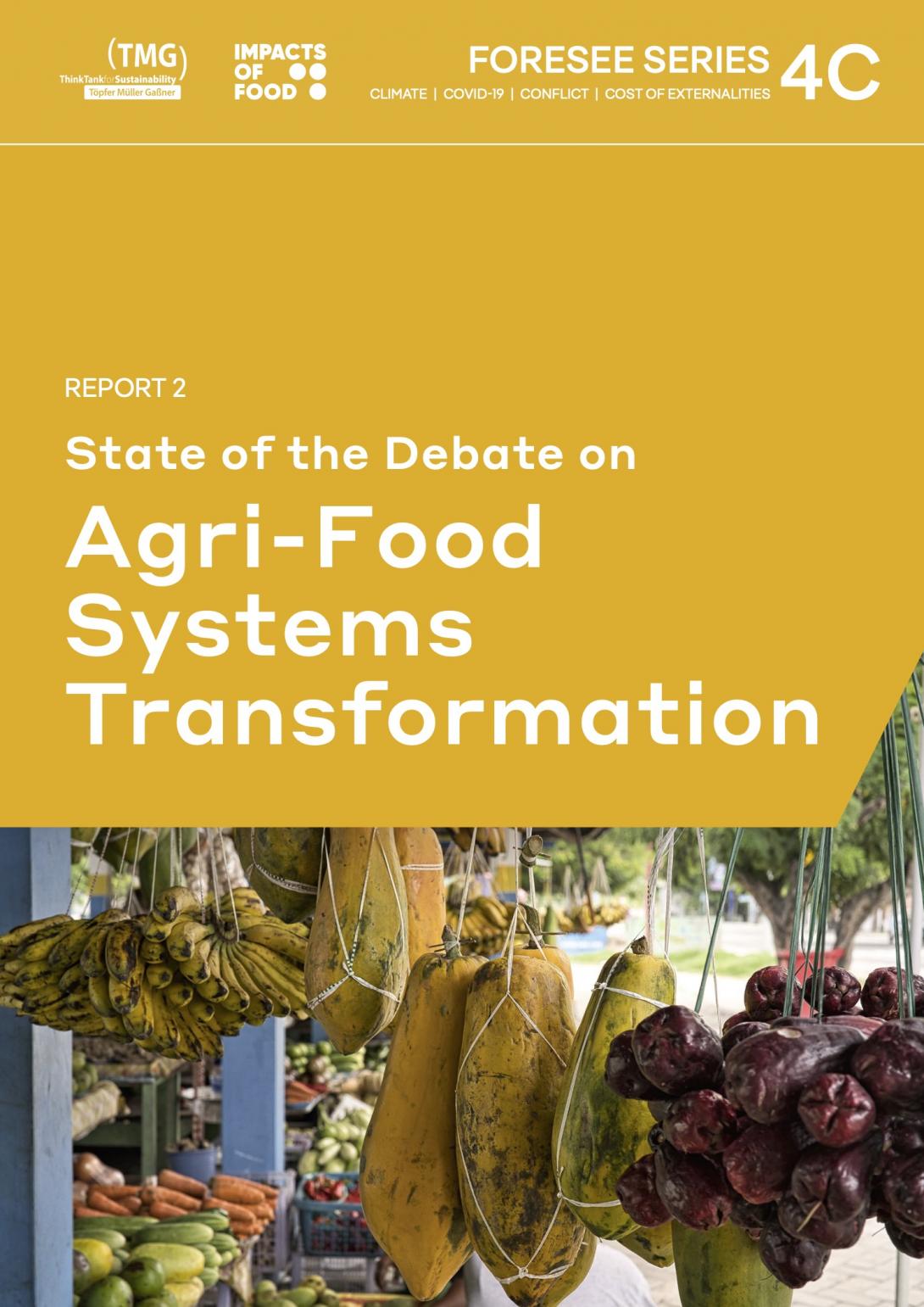 State of the Debate on Agri-Food Systems Transformation