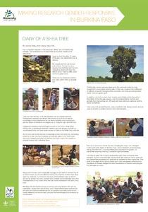 Making research gender-responsive in Burkina Faso: diary of a shea tree