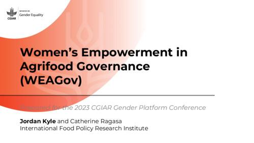 Women’s Empowerment in Agri-food Systems Governance (WEAGov): A new assessment framework