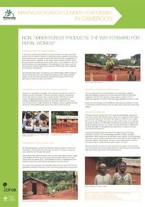 Making research gender-responsive in Cameroon. Non-timber forest products: the way forward for rural women