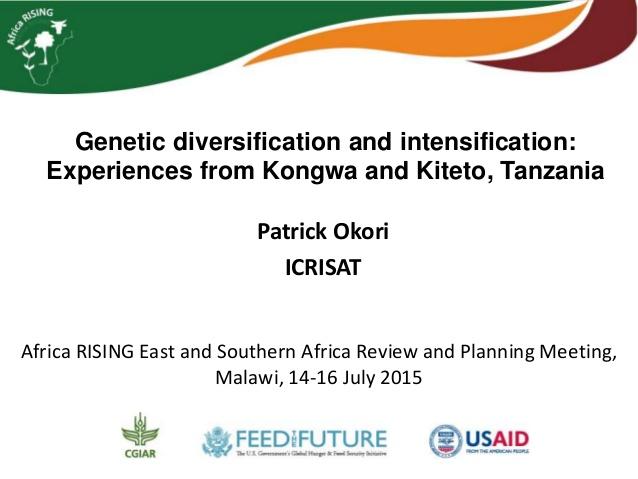 Genetic diversification and intensification: Experiences from Kongwa and Kiteto, Tanzania