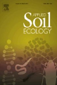 Ants as indicators of soil-based ecosystem services in agroecosystems of the Colombian Llanos