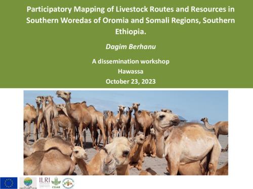 Participatory Mapping of Livestock Routes and Resources in Southern Woredas of Oromia and Somali Regions, Southern Ethiopia—Discussion