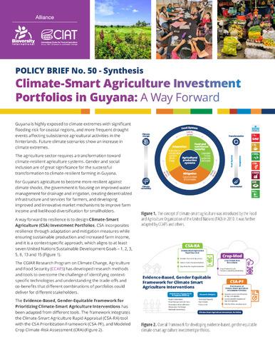 Climate-smart agriculture investment portfolios in Guyana: a way forward (Synthesis)