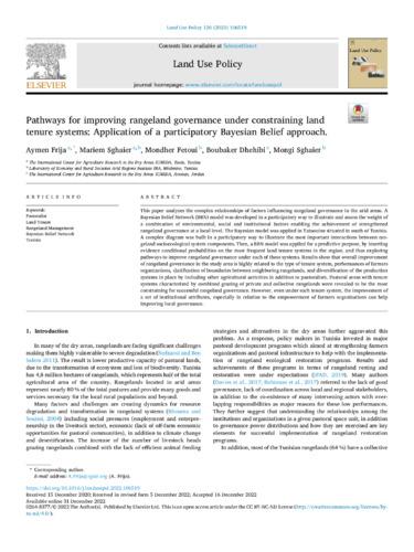 Pathways for improving rangeland governance under constraining land tenure systems: Application of a participatory Bayesian Belief approach