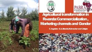 Agricultural transformation in Rwanda: Commercialization, Marketing channels and Gender