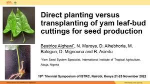 Direct planting versus transplanting of yam leaf-bud cuttings for seed production