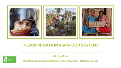 Inclusive Data in Agrifood Systems