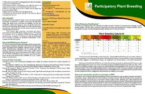 Participatory plant breeding
