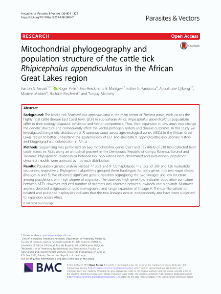 Mitochondrial phylogeography and population structure of the cattle tick Rhipicephalus appendiculatus in the African Great Lakes region