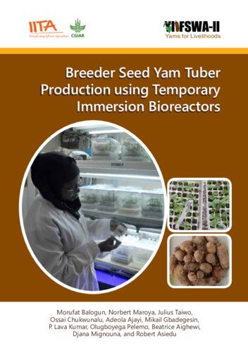 Breeder seed yam tuber production using temporary immersion bioreactors