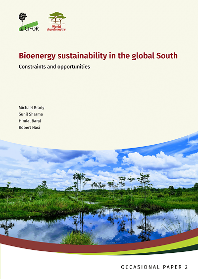 Bioenergy sustainability in the global South: Constraints and opportunities