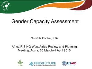 Gender capacity assessment