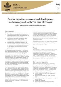 Gender capacity assessment and development methodology and tools: The case of Ethiopia