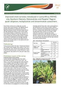 Improved enset varieties introduced in Lemo Africa RISING site, SNNPR: Quick adoption, multiplication and dissemination assessment