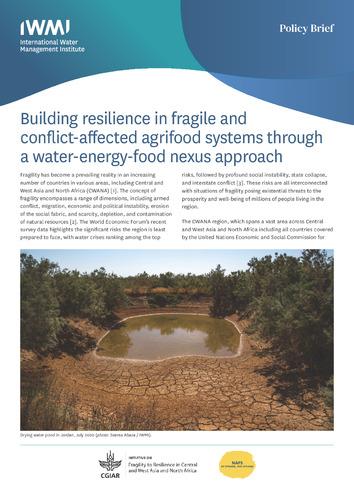 Building resilience in fragile and conflict-affected agrifood systems through a water-energy-food nexus approach