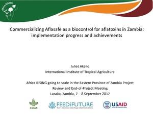 Commercializing Aflasafe as a biocontrol for aflatoxins in Zambia: implementation progress and achievements