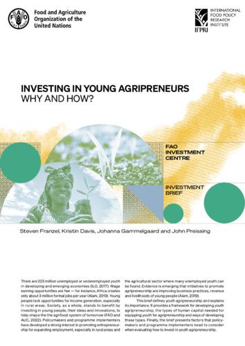 Investing in young agripreneurs: Why and how?