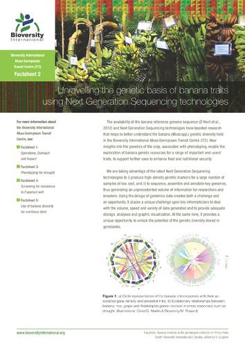 Unravelling the genetic basis of banana traits using next generation sequencing technologies