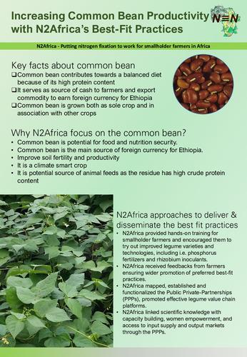 Increasing common bean productivity with N2Africa’s best-fit practices