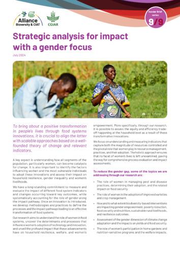 Strategic analysis for impact with a gender focus