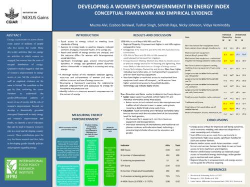 Developing a women’s empowerment in energy index: Conceptual framework and empirical evidence