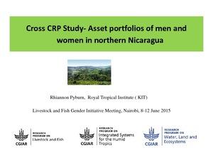 Cross CRP Study: Asset portfolios of men and women in northern Nicaragua
