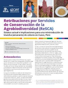 Retribuciones por Servicios de Conservación de la Agrobiodiversidad (ReSCA): Estatus actual e implicaciones para una reintroducción de Kiwicha (amaranto) de colores en Cusco, Perú