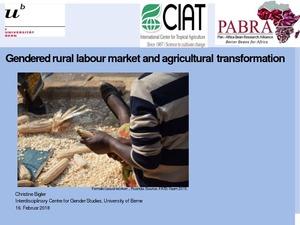 Gendered rural labour market and agricultural transformation