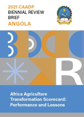 Africa Agriculture Transformation Scorecard: performance and lessons. Angola