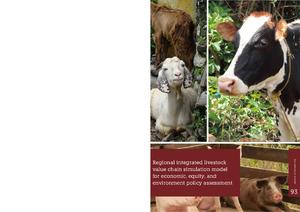 Regional integrated livestock value chain simulation model for economic, equity, and environment policy assessment