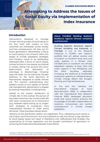 Attempting to Address the Issues of Social Equity via Implementation of Index Insurance