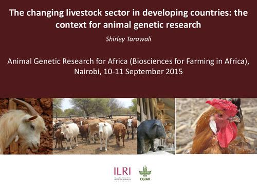 The changing livestock sector in developing countries: The context for animal genetic research