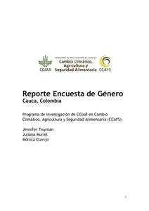 Reporte Encuesta de Género Cauca, Colombia