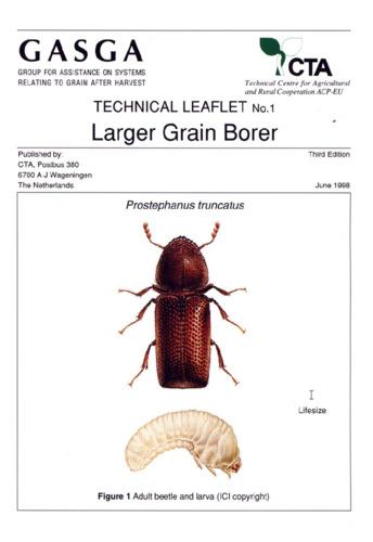 Larger grain borer