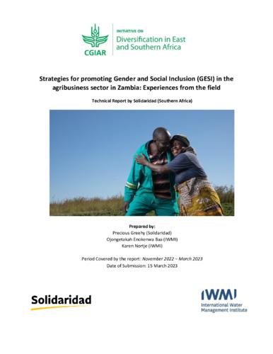 Strategies for promoting Gender and Social Inclusion (GESI) in the agribusiness sector in Zambia: experiences from the field